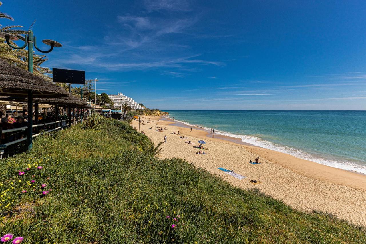 Canto Mar Beach By Alzira Albufeira Eksteriør bilde